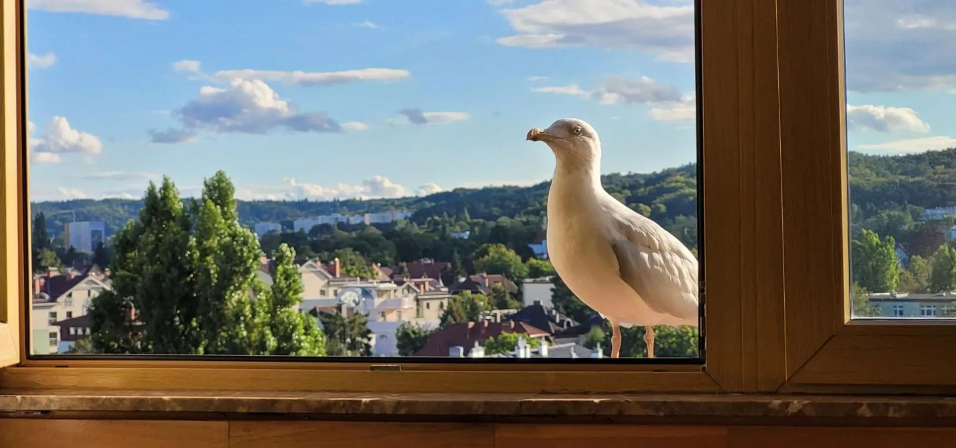 Apartament Sceneria Apartment Sopot